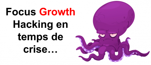 Comment mettre en place une stratégie de Growth Hacking – Franck Gautier 18